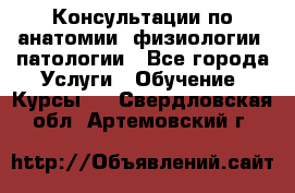 Консультации по анатомии, физиологии, патологии - Все города Услуги » Обучение. Курсы   . Свердловская обл.,Артемовский г.